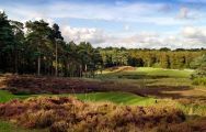 West Sussex Golf Club has several of the finest golf course around Sussex