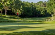 Royal Ashdown Forest Golf Club consists of lots of the leading golf course around Sussex