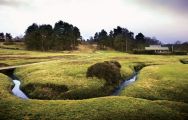 The Royal Ashdown Forest Golf Club's lovely golf course situated in brilliant Sussex.
