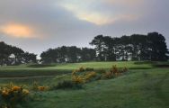 Ganton Golf Club has lots of the most desirable golf course in Yorkshire