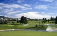 The Mijas Golf Club - Los Olivos's lovely golf course in pleasing Costa Del Sol.