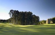 All The Santana Golf Club's lovely golf course in striking Costa Del Sol.