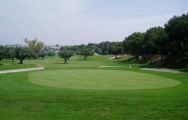 The Villamartin Golf Course's picturesque golf course situated in impressive Costa Blanca.