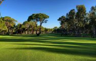 The Kaya Palazzo Golf Club's lovely golf course situated in vibrant Belek.