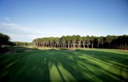 Montgomerie Maxx Royal Golf Course