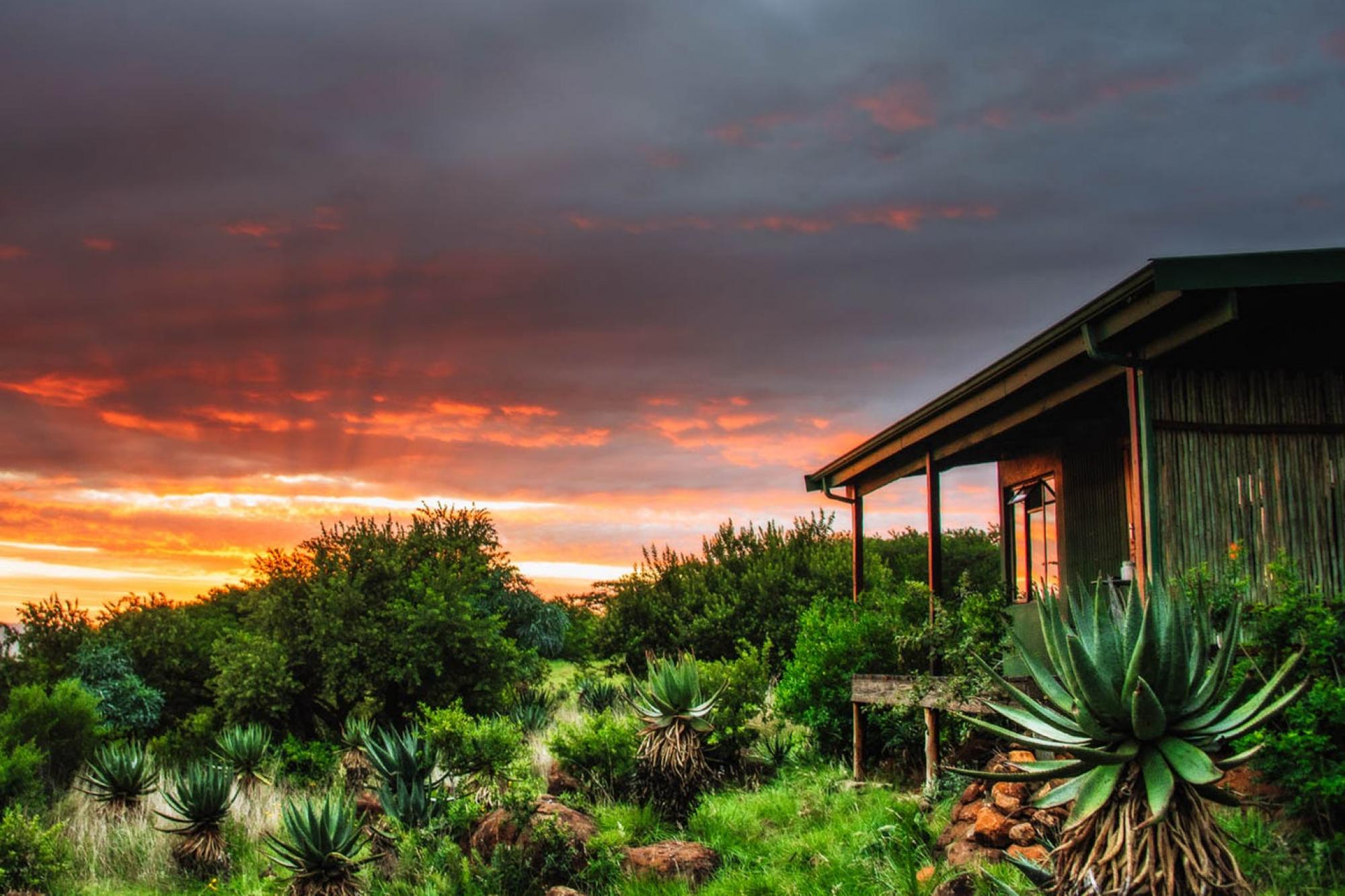 Three Tree Hill has some of the lodges around South Africa