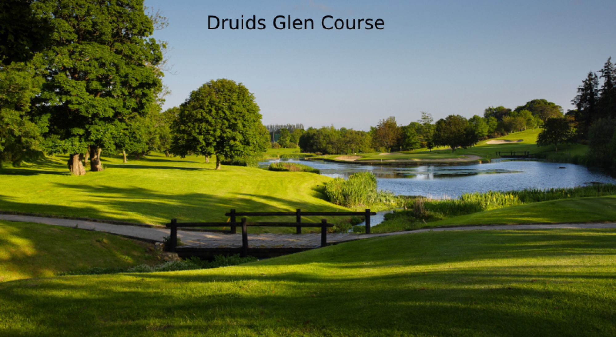 Druids Glen - Wicklow Golf Club hosts several of the preferred golf course near Southern Ireland