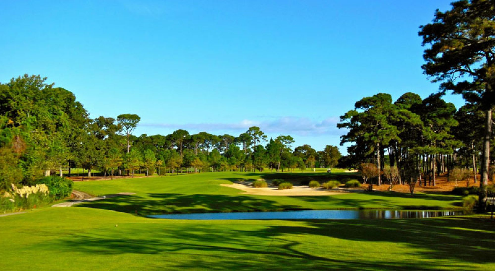 View Pine Lakes Country Club's scenic golf course within amazing South Carolina.