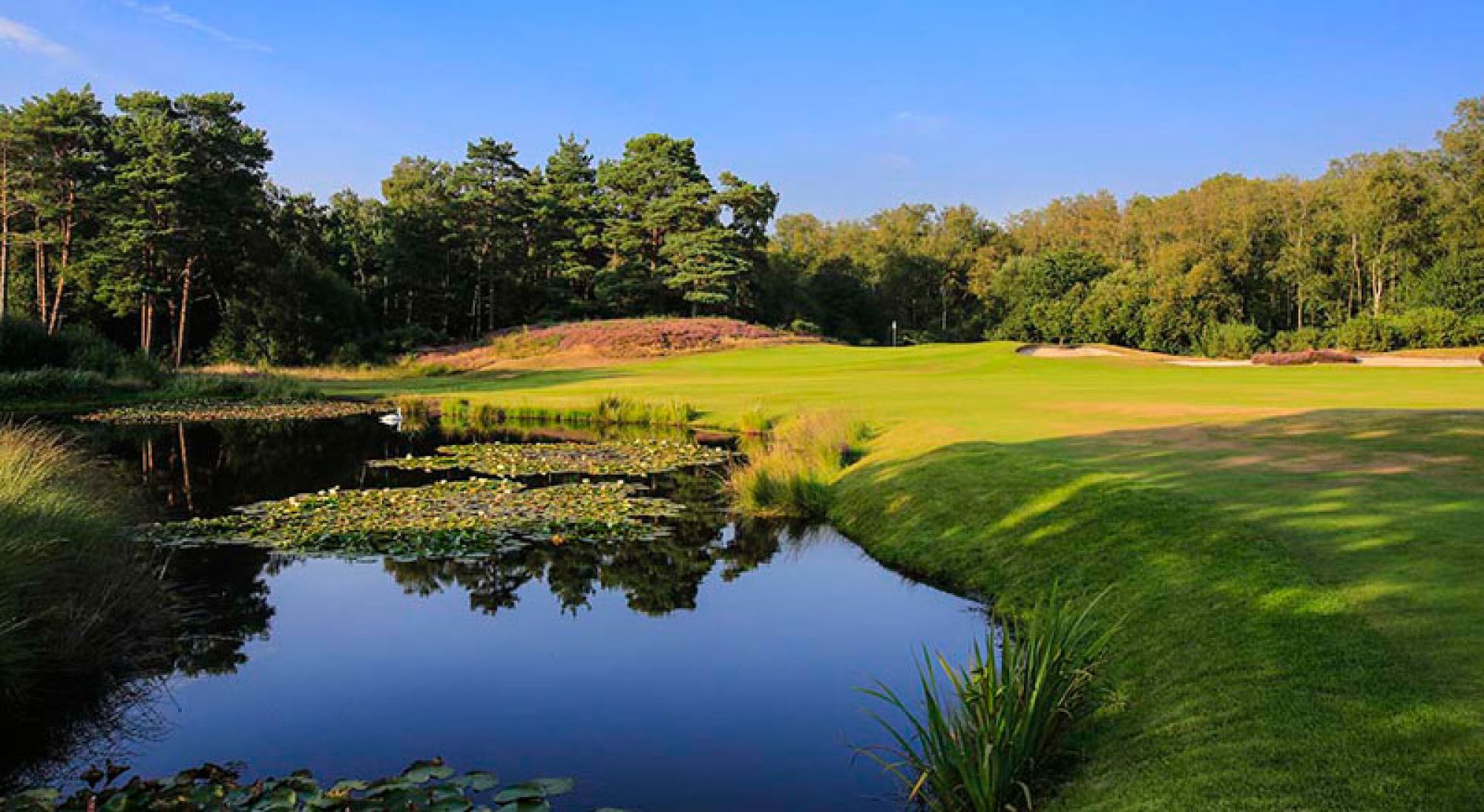 View West Sussex Golf Club's lovely golf course in amazing Sussex.