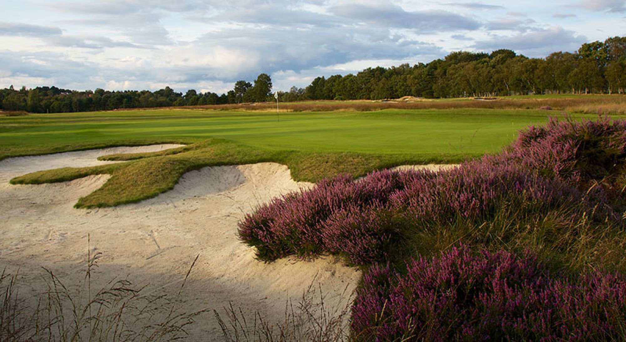 Moortown Golf Club includes among the most popular golf course within Yorkshire