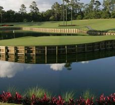 TPC Sawgrass Golf has some of the most desirable golf course around Florida