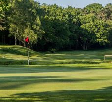 Royal Ashdown Forest Golf Club consists of lots of the leading golf course around Sussex