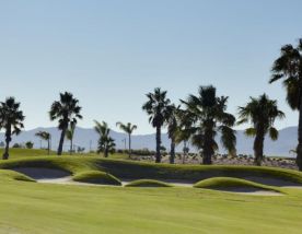 Mar Menor Golf Course provides among the leading golf course in Costa Blanca