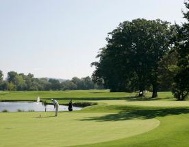 The Beckenbauer Golf Course's scenic golf course in vibrant Germany.