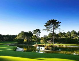 Golf de Chiberta has among the most excellent golf course around South-West France