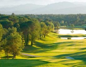 View Guadalmina North  South Courses's picturesque golf course in astounding Costa Del Sol.