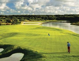 View Hard Rock Golf Club at Cana Bay's picturesque golf course within vibrant Dominican Republic.