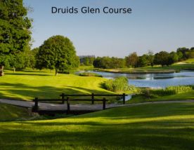 Druids Glen - Wicklow Golf Club hosts several of the preferred golf course near Southern Ireland