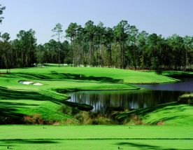 TPC Myrtle Beach offers among the most desirable golf course near South Carolina