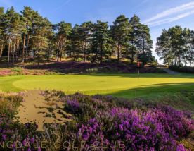 The Sunningdale Golf Club's beautiful golf course in magnificent Surrey.