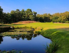 View West Sussex Golf Club's lovely golf course in amazing Sussex.