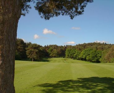 Old Thorns Golf Club