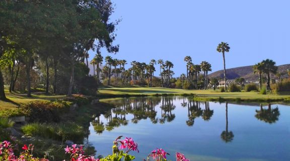 View Golf Las Americas's beautiful golf course within spectacular Tenerife.