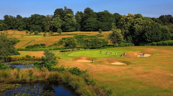 The Knole Park Golf Club's lovely golf course in incredible Kent.