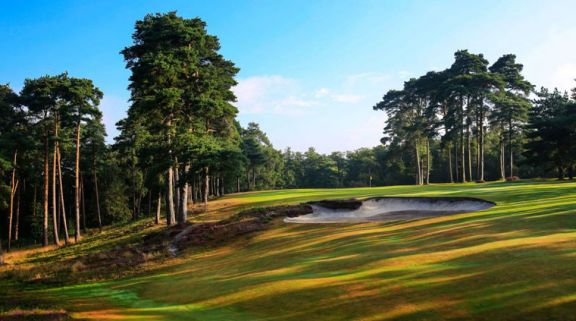 All The West Sussex Golf Club's lovely golf course in pleasing Sussex.